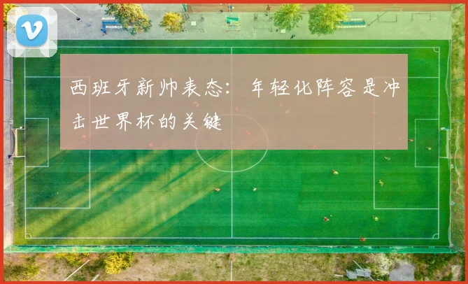 西班牙新帅表态：年轻化阵容是冲击世界杯的关键