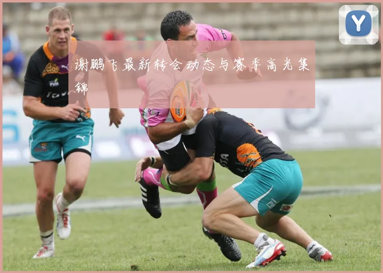 谢鹏飞最新转会动态与赛季高光集锦